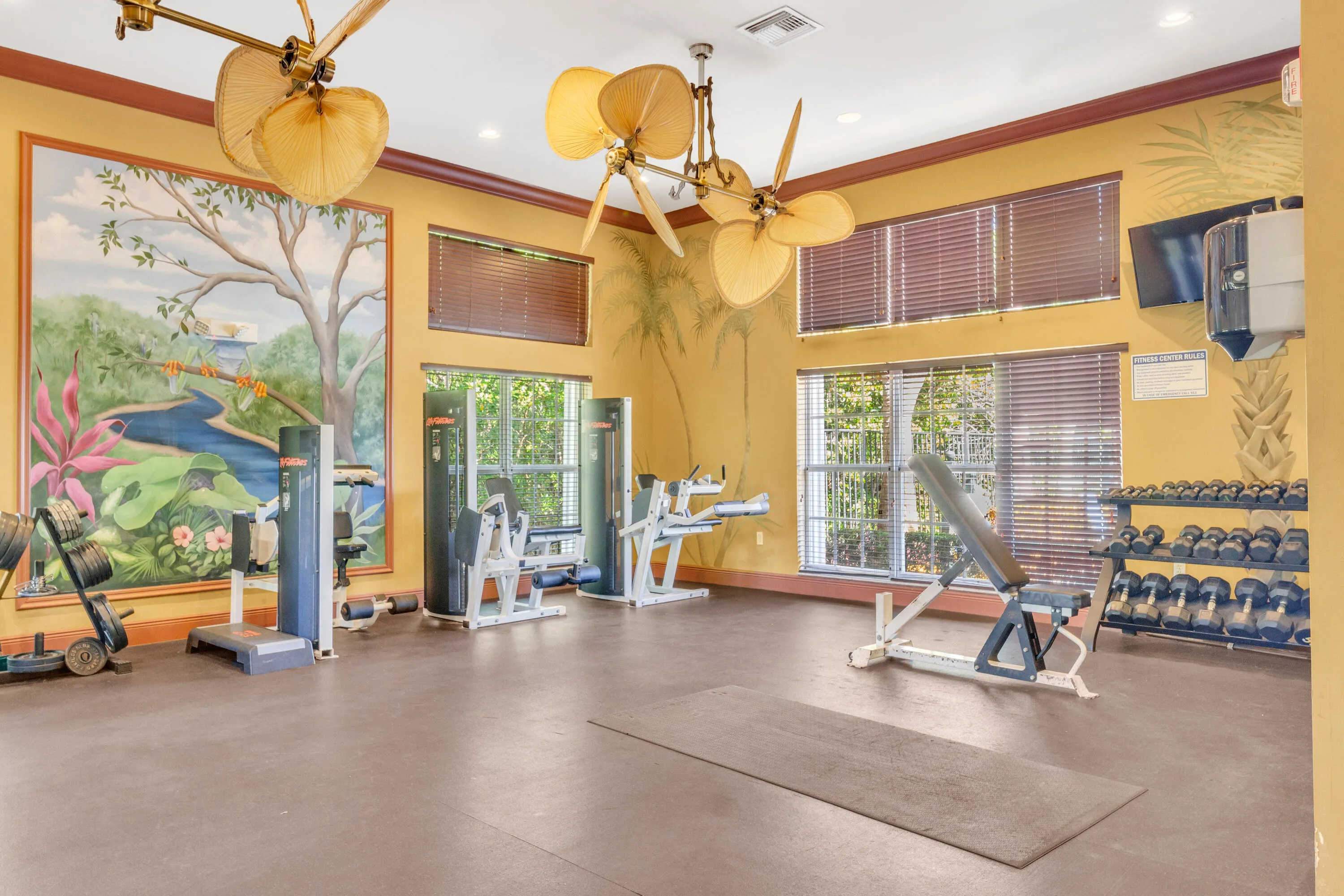 Gym
