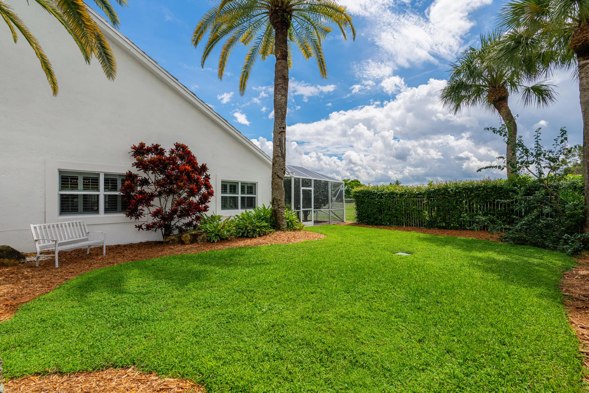 Side Yard