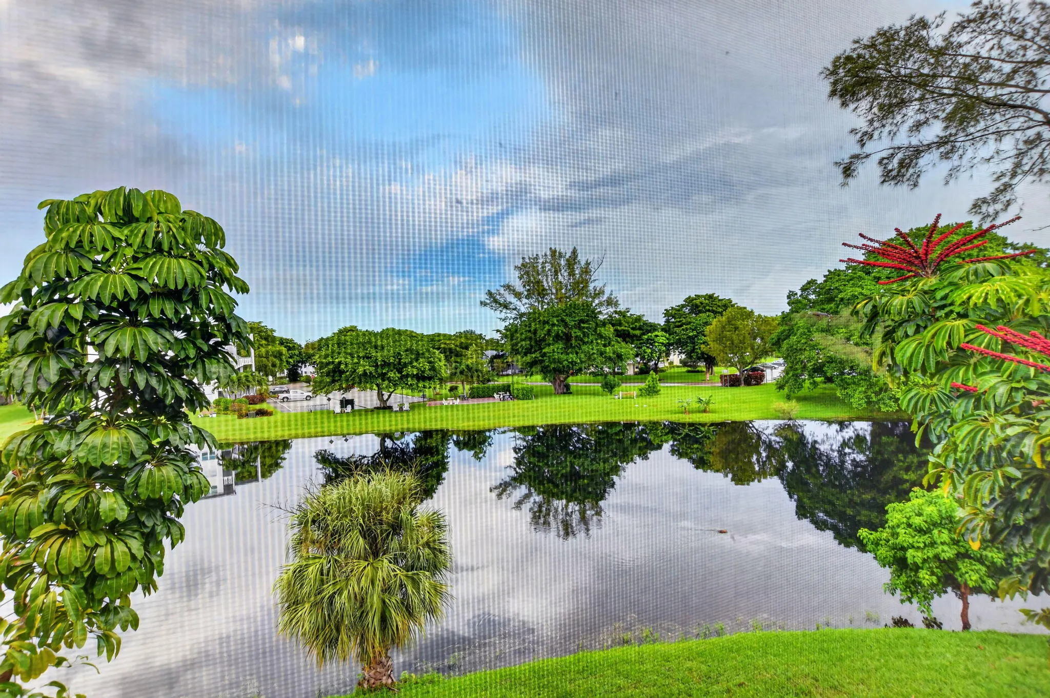 37-web-or-mls-DSC_7065
