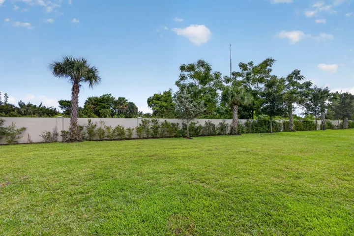 54-web-or-mls-5D1A2032