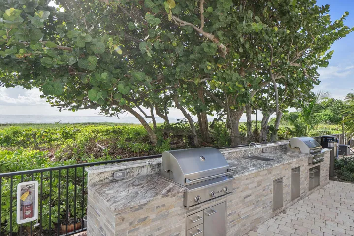 Brand new bbq grills