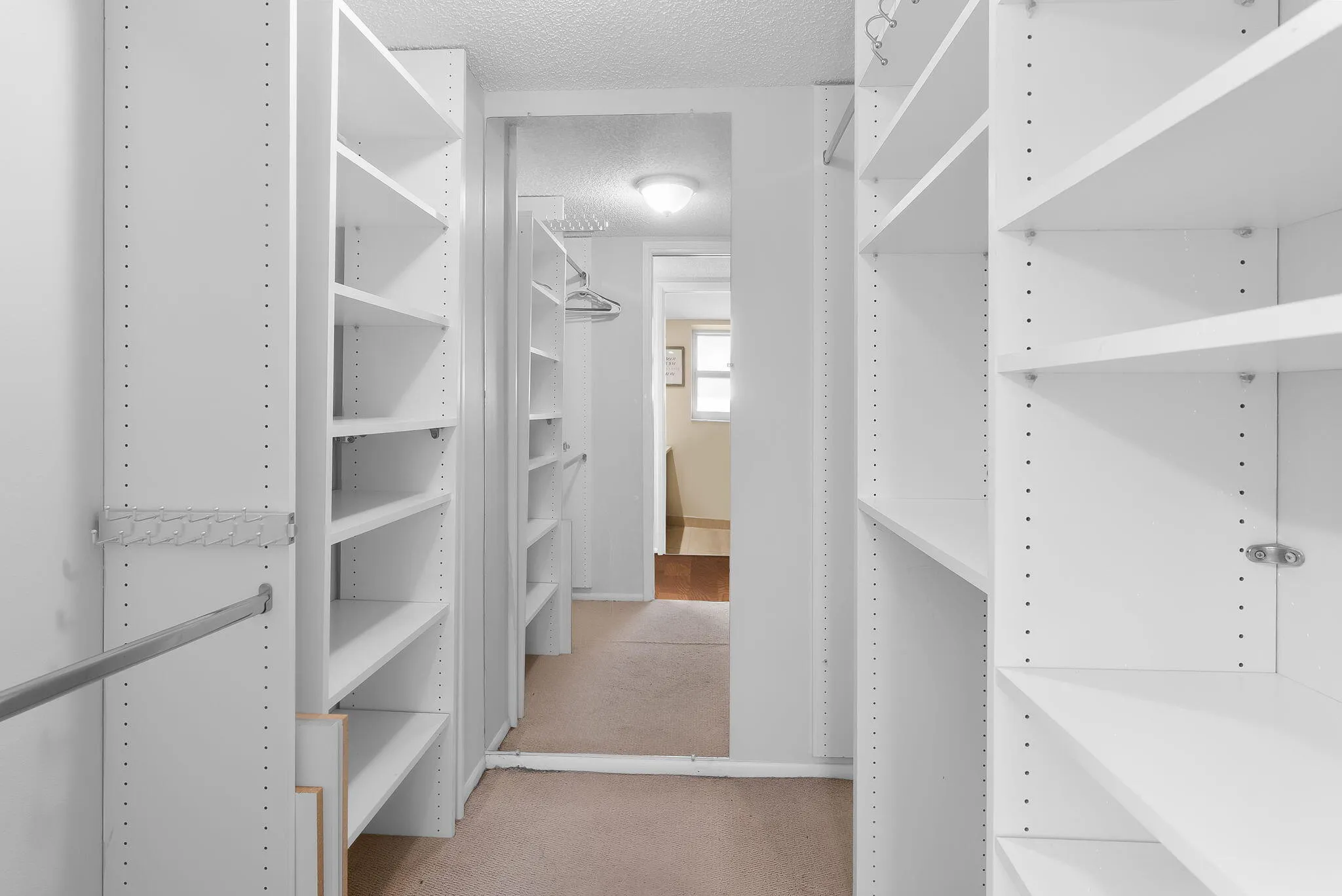 The primary bedroom has a spacious walk-in closet as well as a wall closet, both closets with built-in shelving.