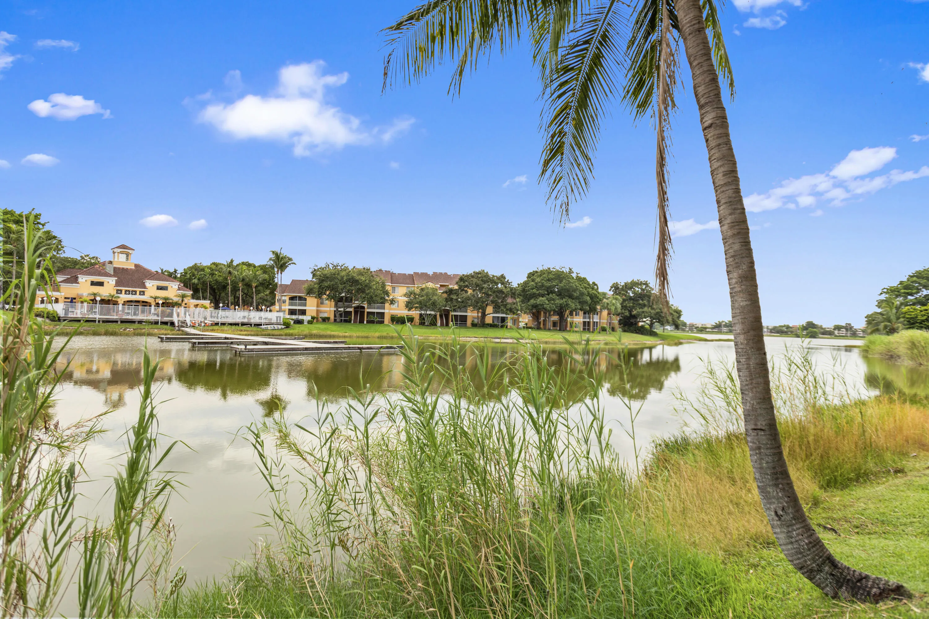 Lake view