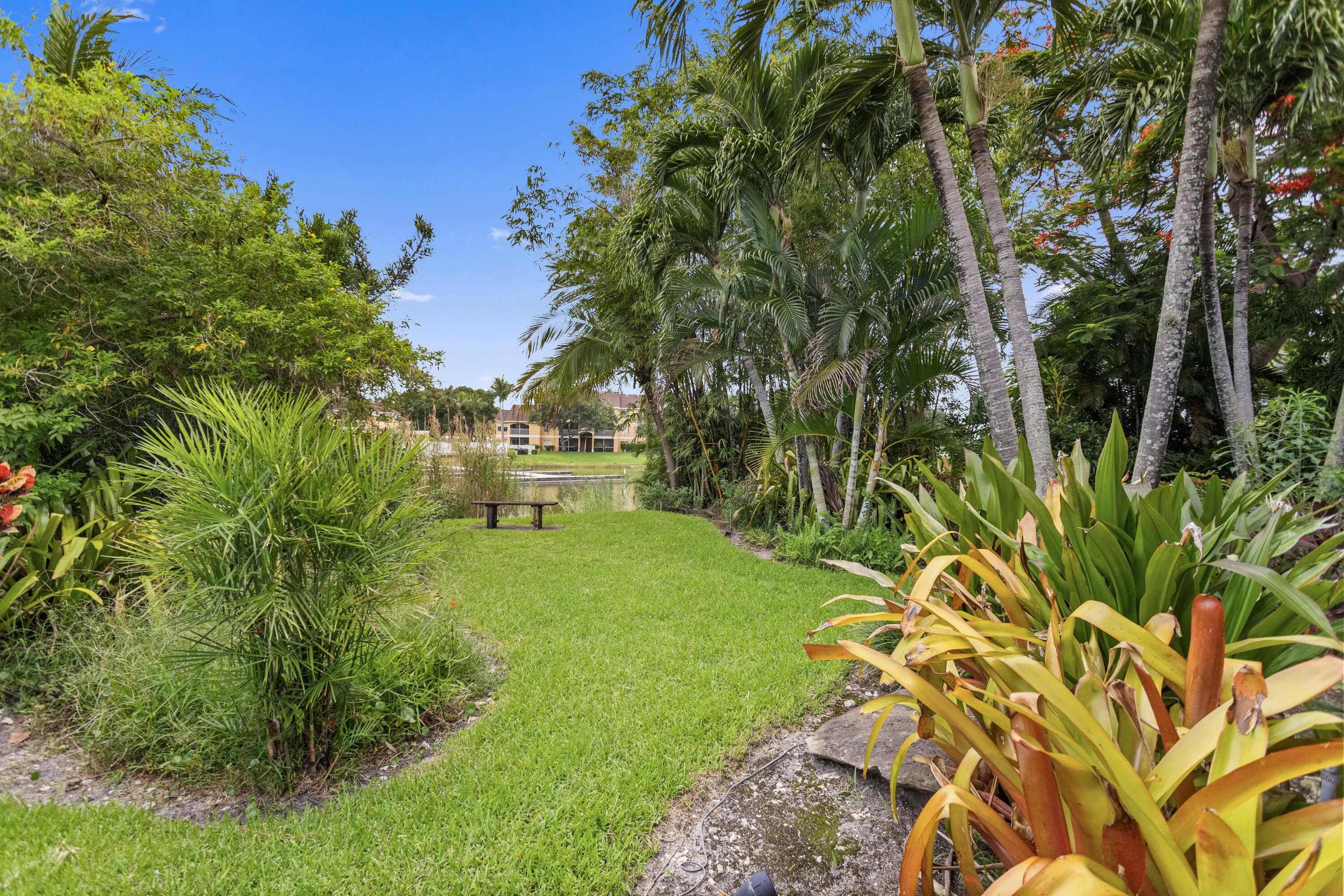 Back yard