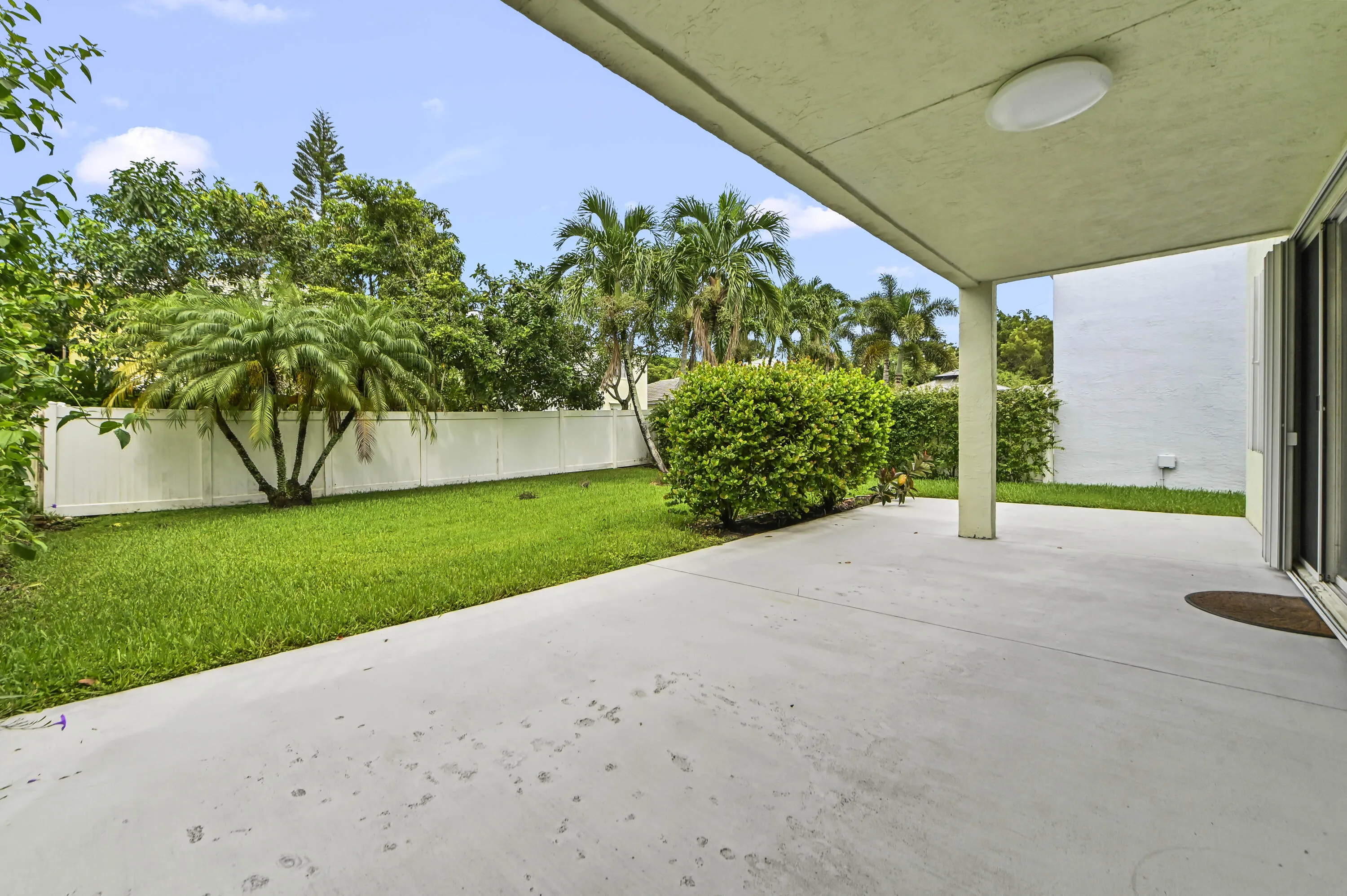 36 Backyard 02