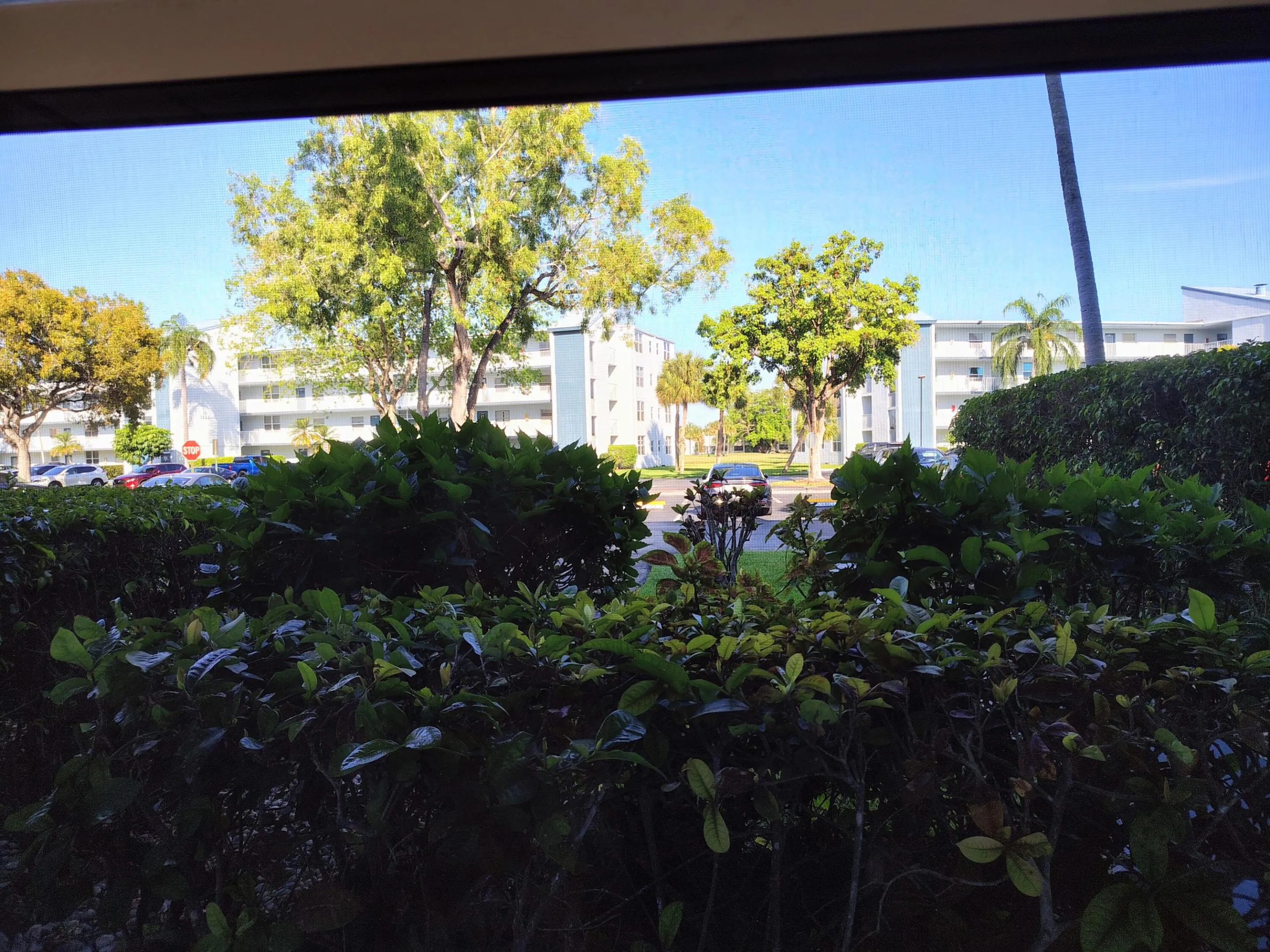 Garden View From Kitchen Window