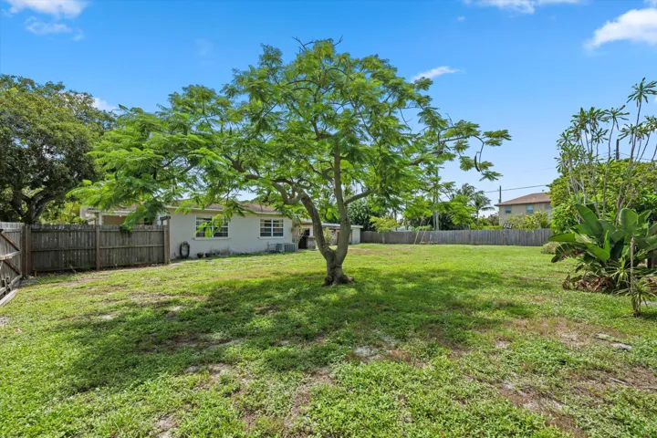 Backyard