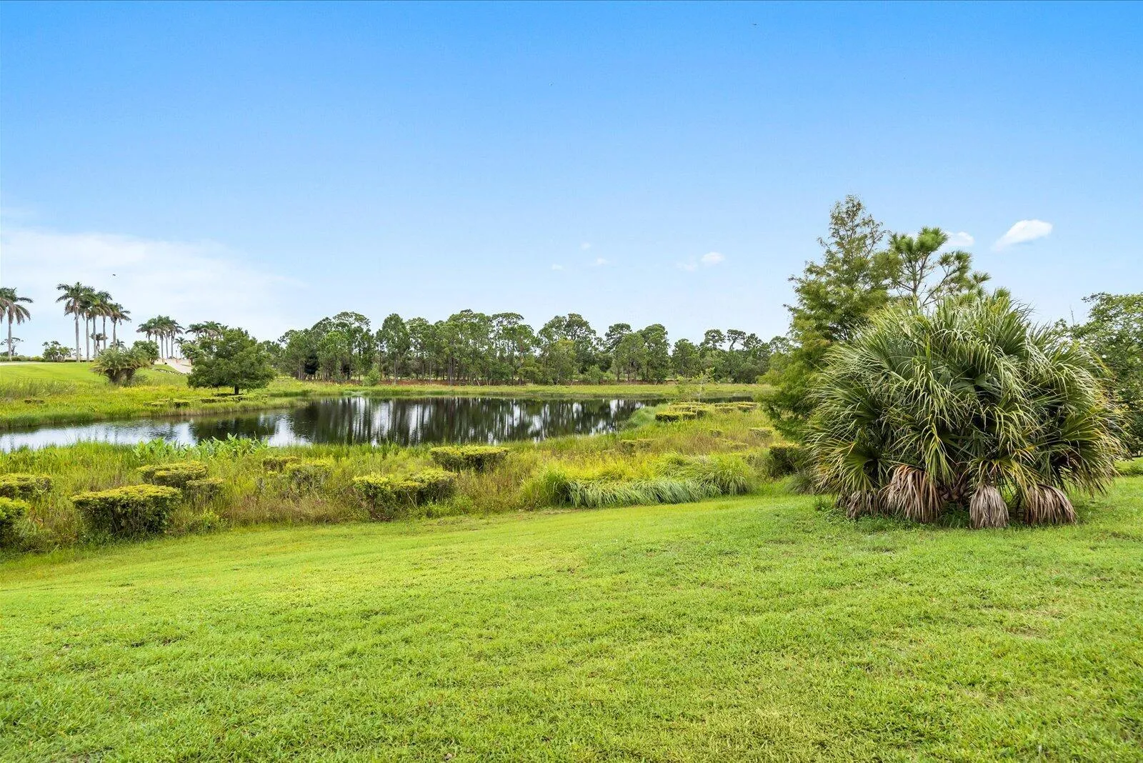 Property photo 48
