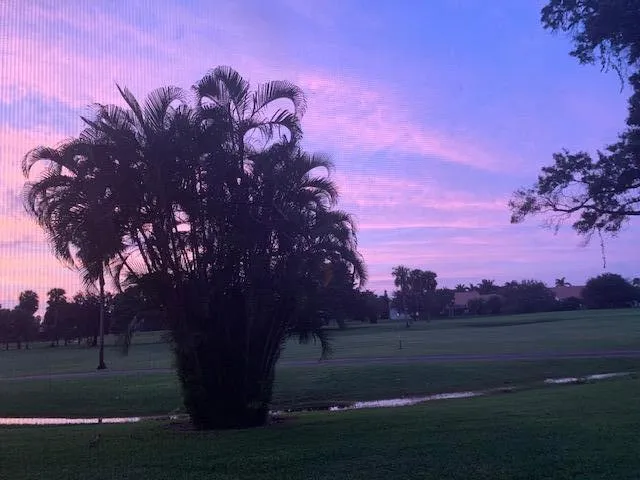 Sunset view