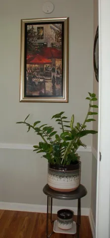 Entrance to Primary Bedroom