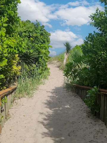 Sand pathway bordered by lush foliage and wood railing