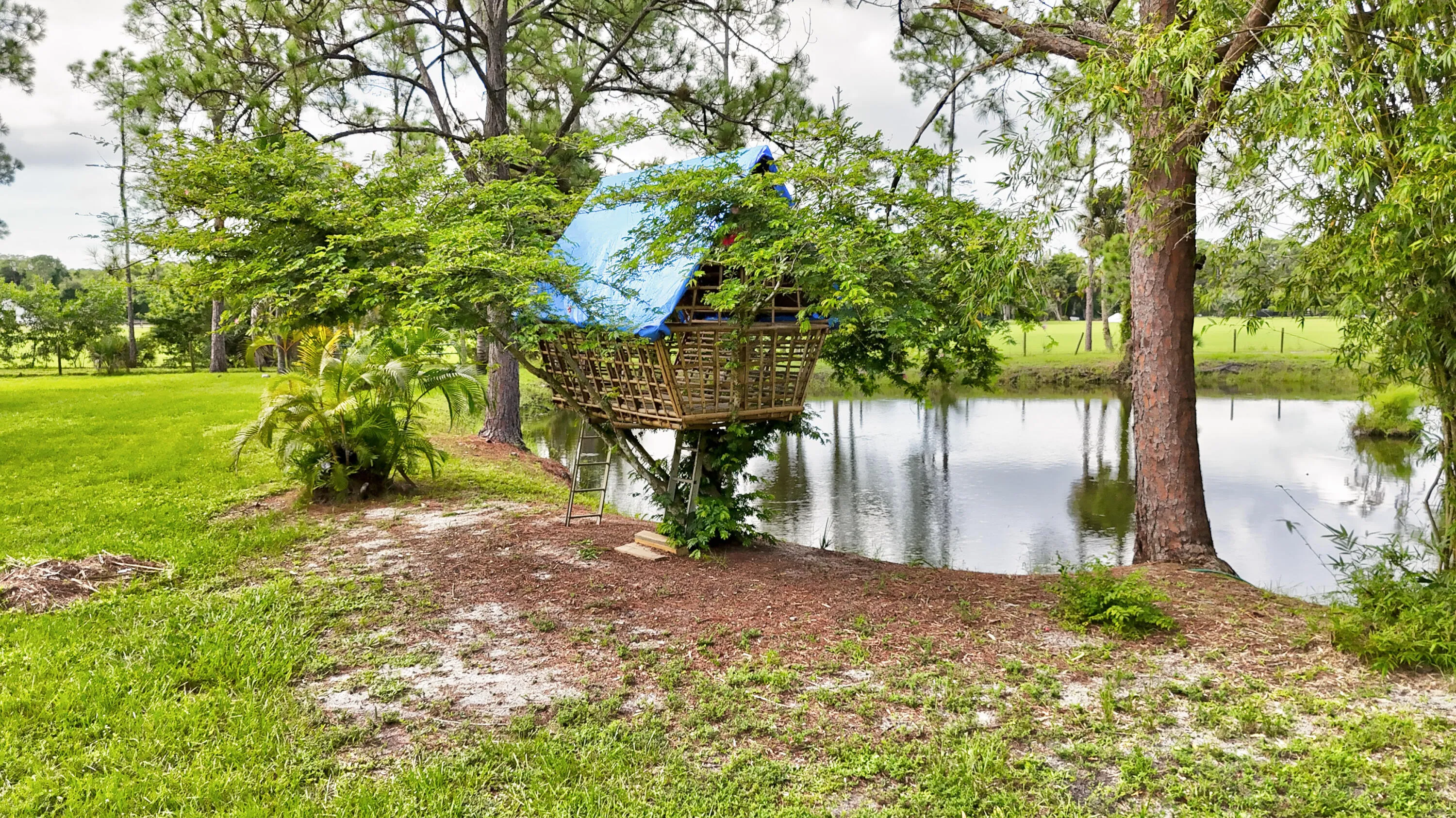 1616_E_Rd_Loxahatchee_FL_susamma-53