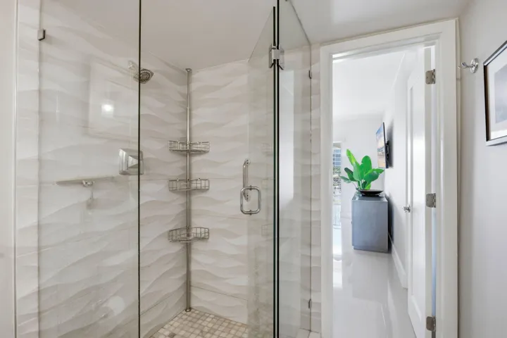 Primary Shower