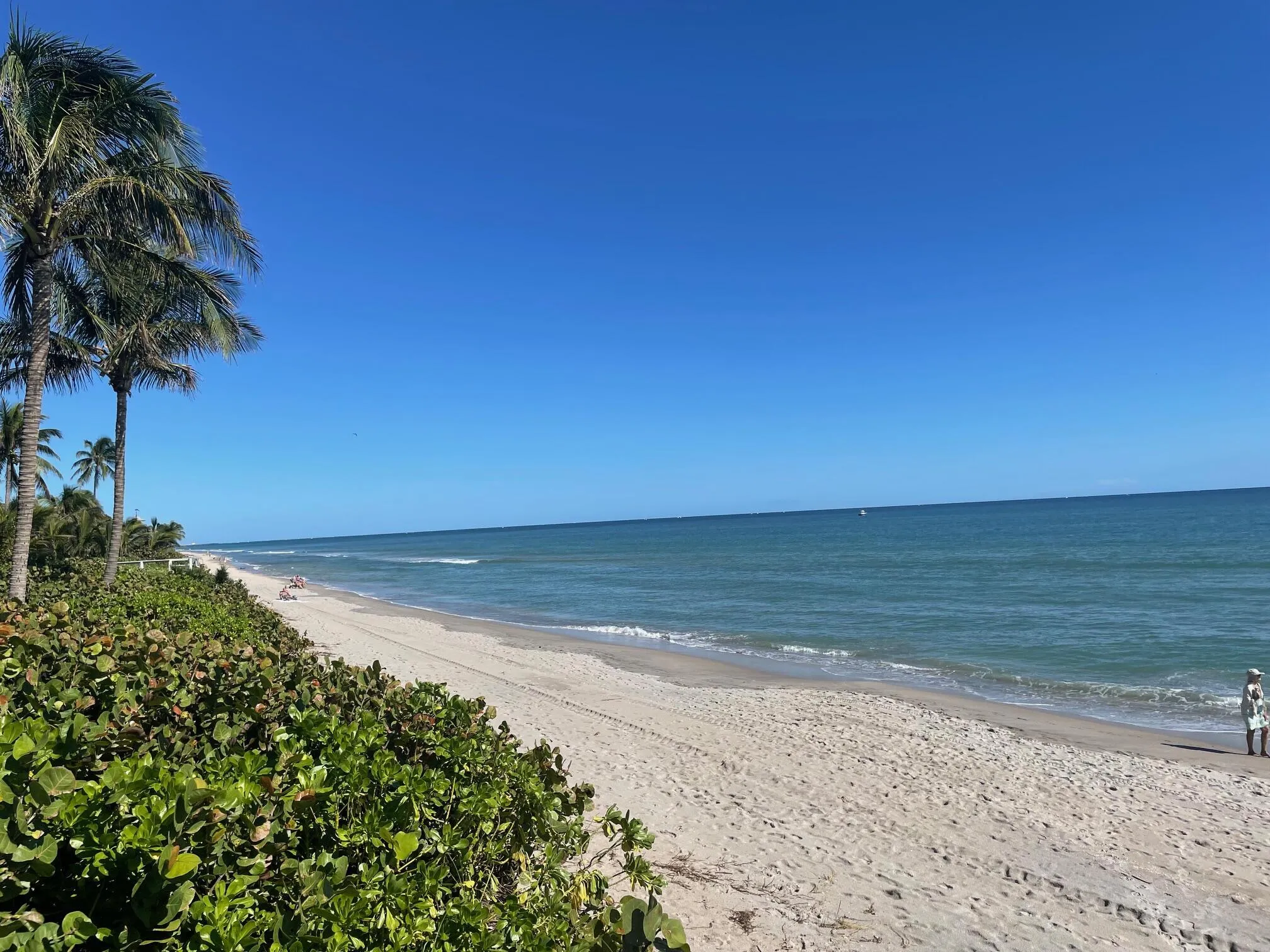 Quiet, pristine and a short walk from the house