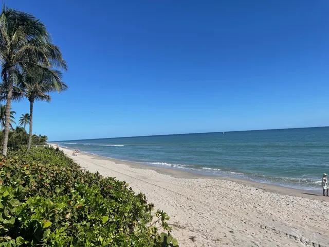 Quiet, pristine and a short walk from the house