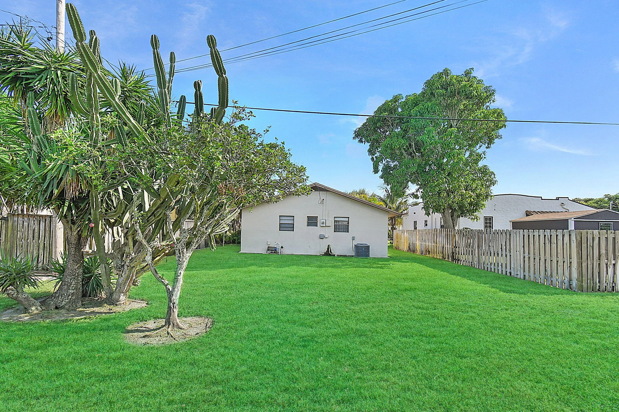 7-web-or-mls-500_5640