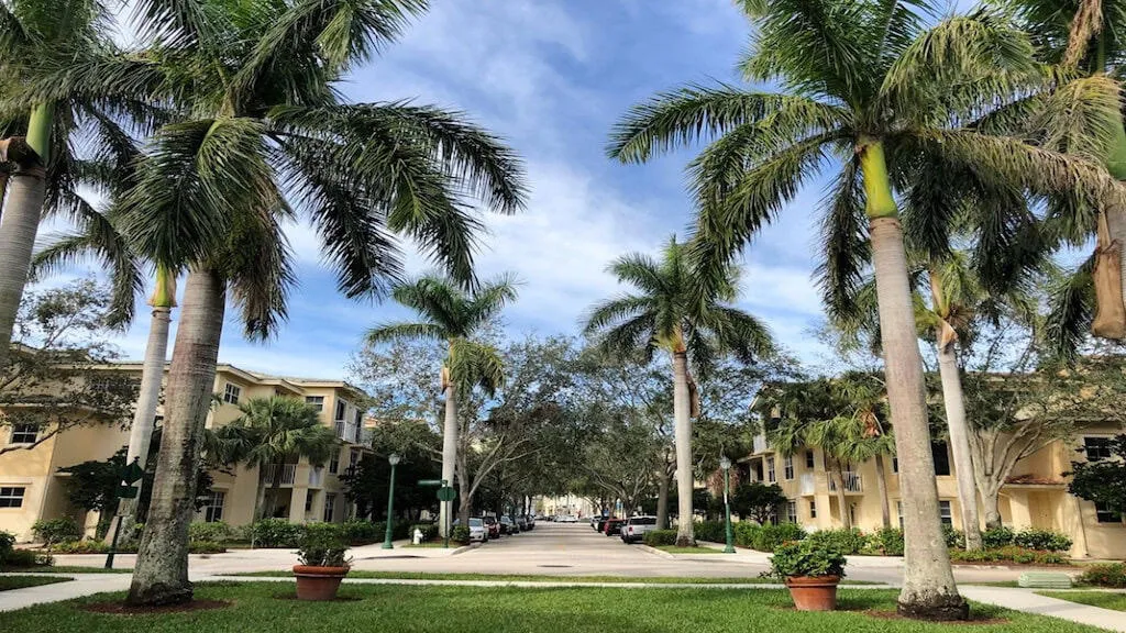 Streetscape with mature palm trees, manicured lawns, and multi-story buildings
