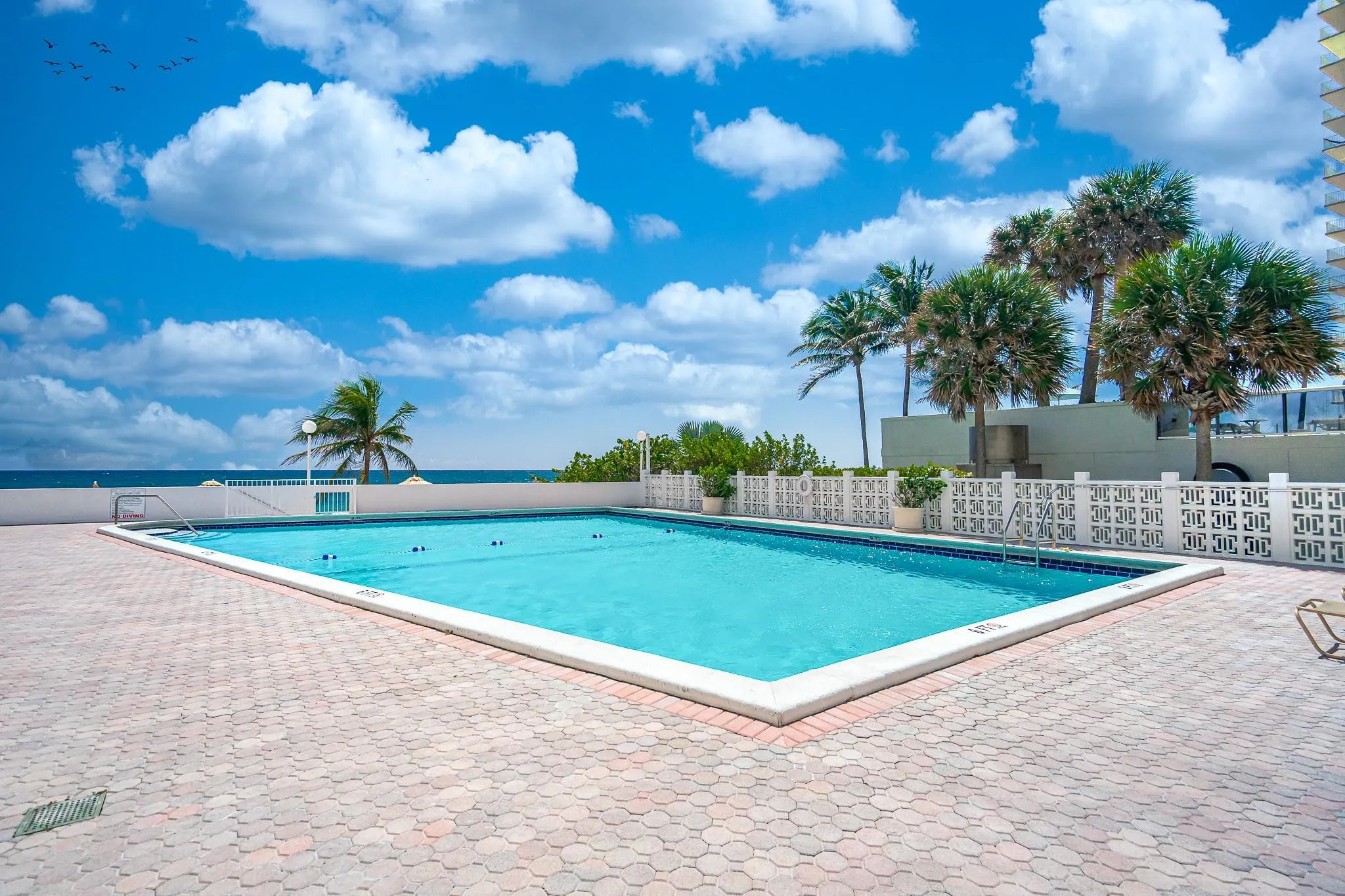Rectangular swimming pool with a white coping, surrounded by hexagonal pavers