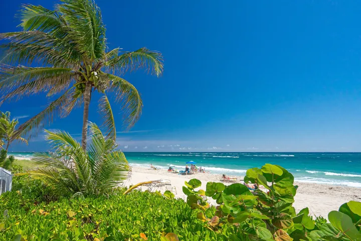 Beachfront setting with a sandy shoreline, turquoise ocean waters, and a clear blue sky