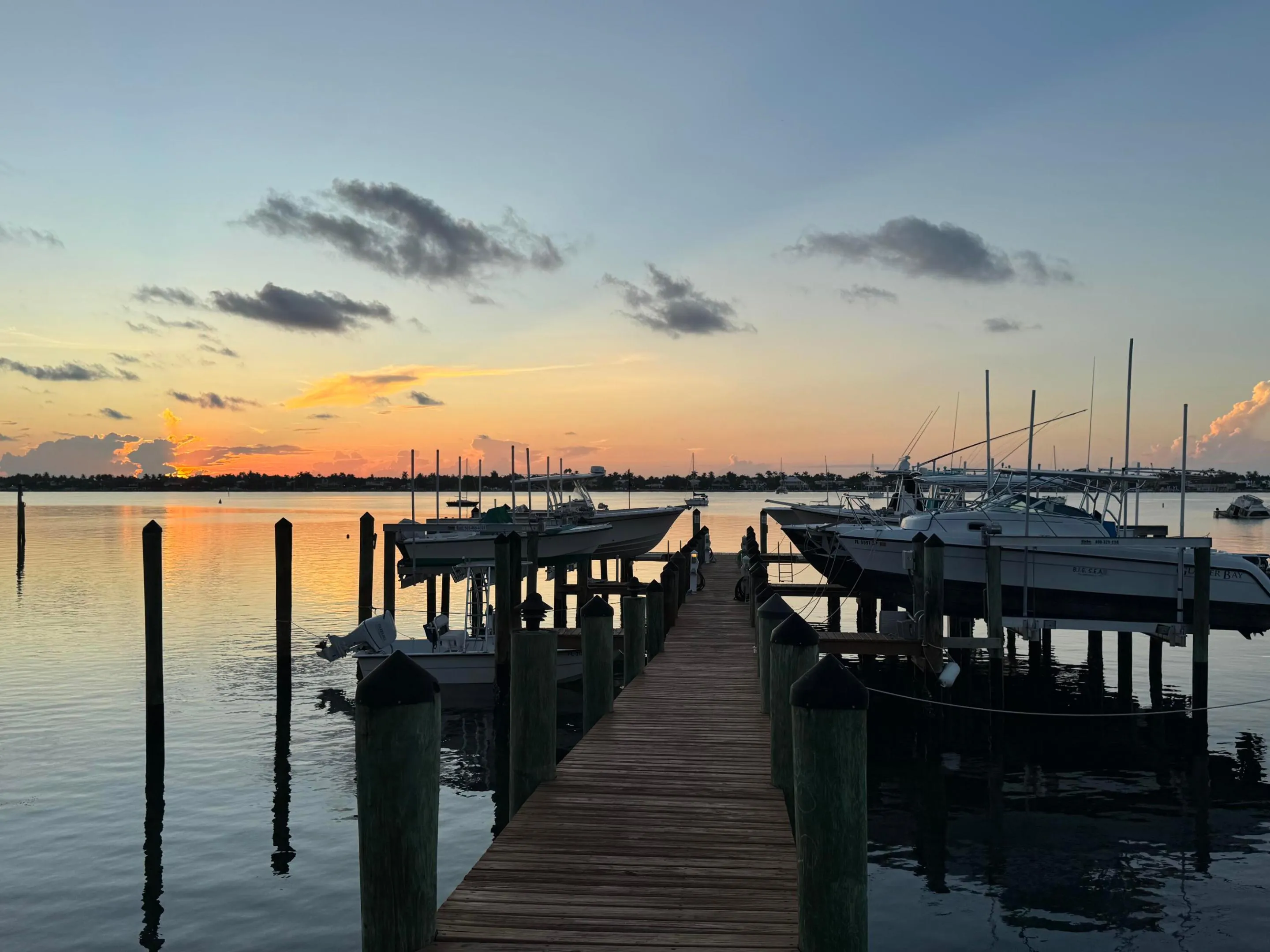Dock