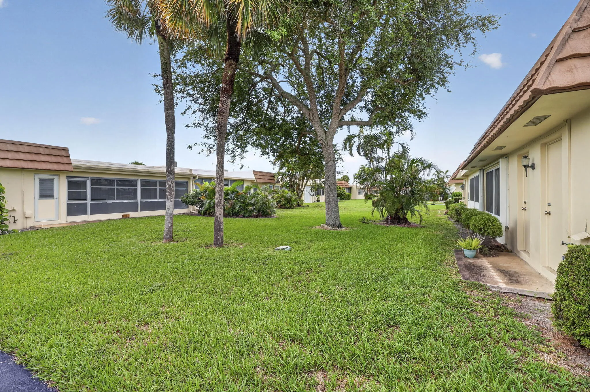 38-web-or-mls-BS1A3081