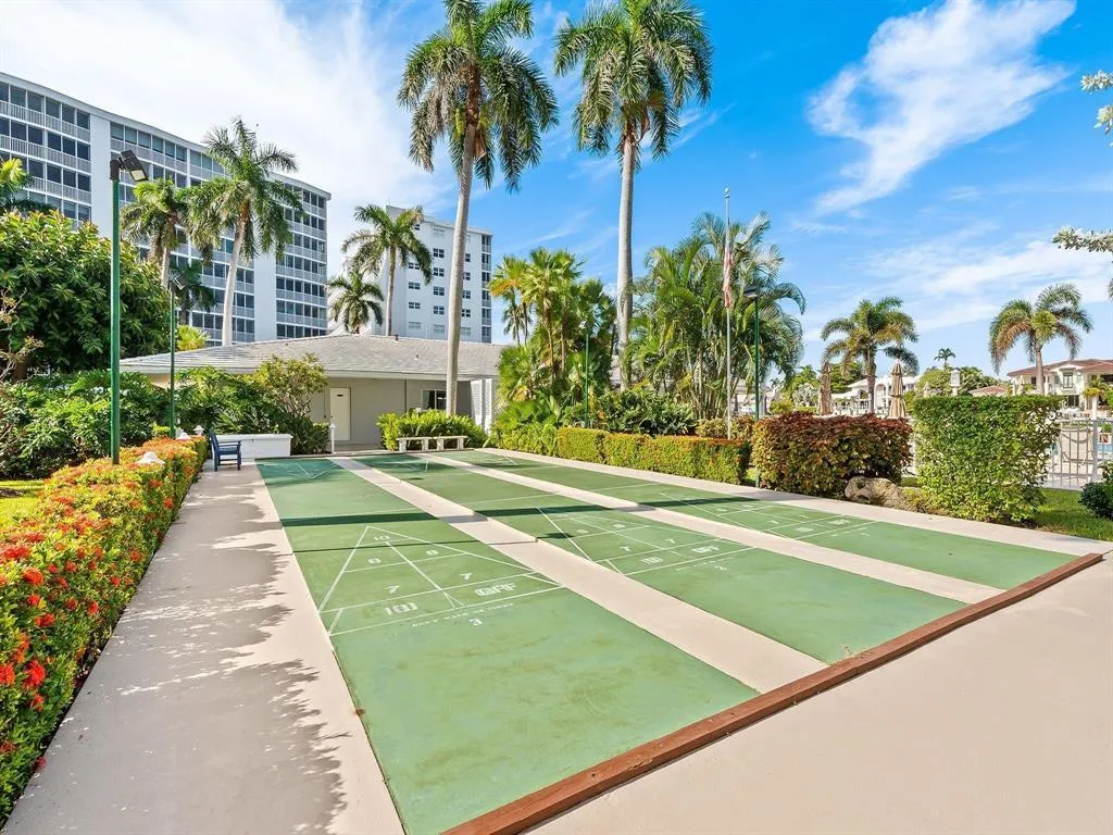 Shuffleboard court
