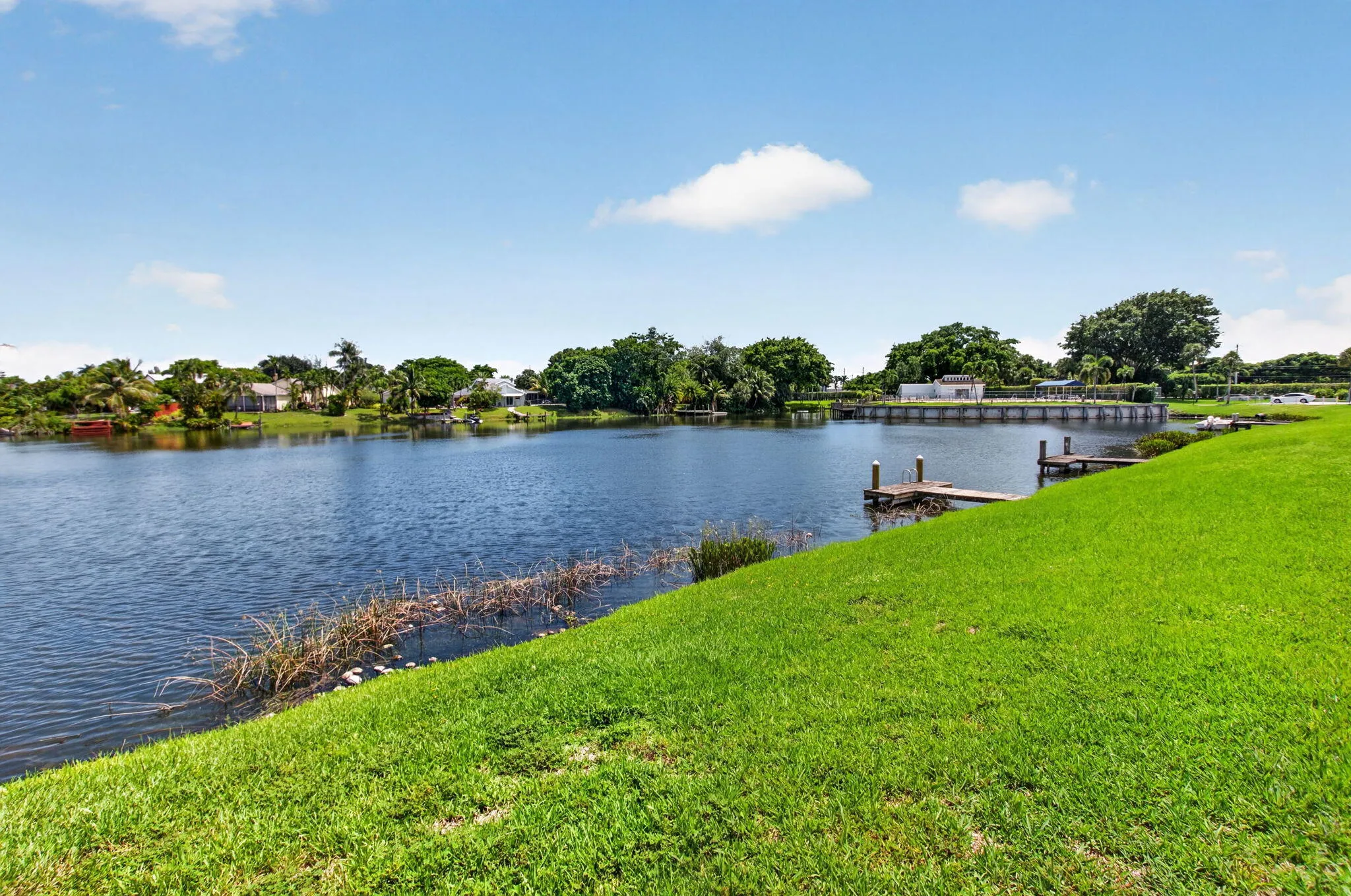 52-web-or-mls-DSC_7079