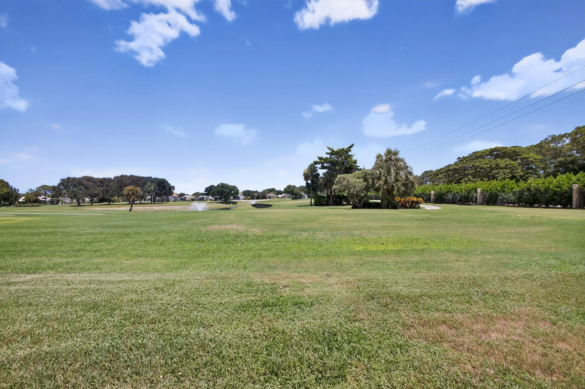 45-web-or-mls-006_5D1A0907