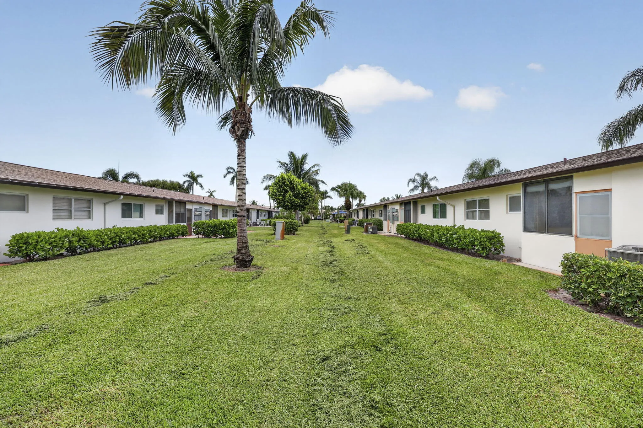 30-web-or-mls-BS1A2781