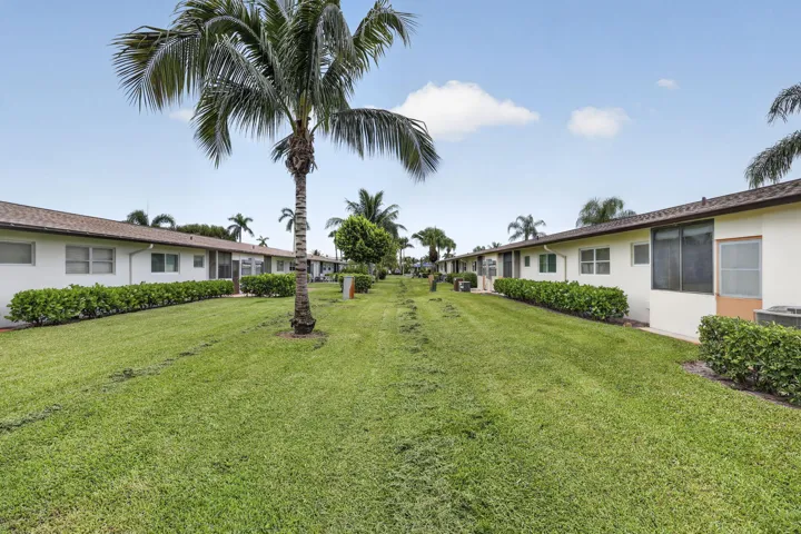 30-web-or-mls-BS1A2781