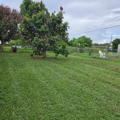 backyard 2