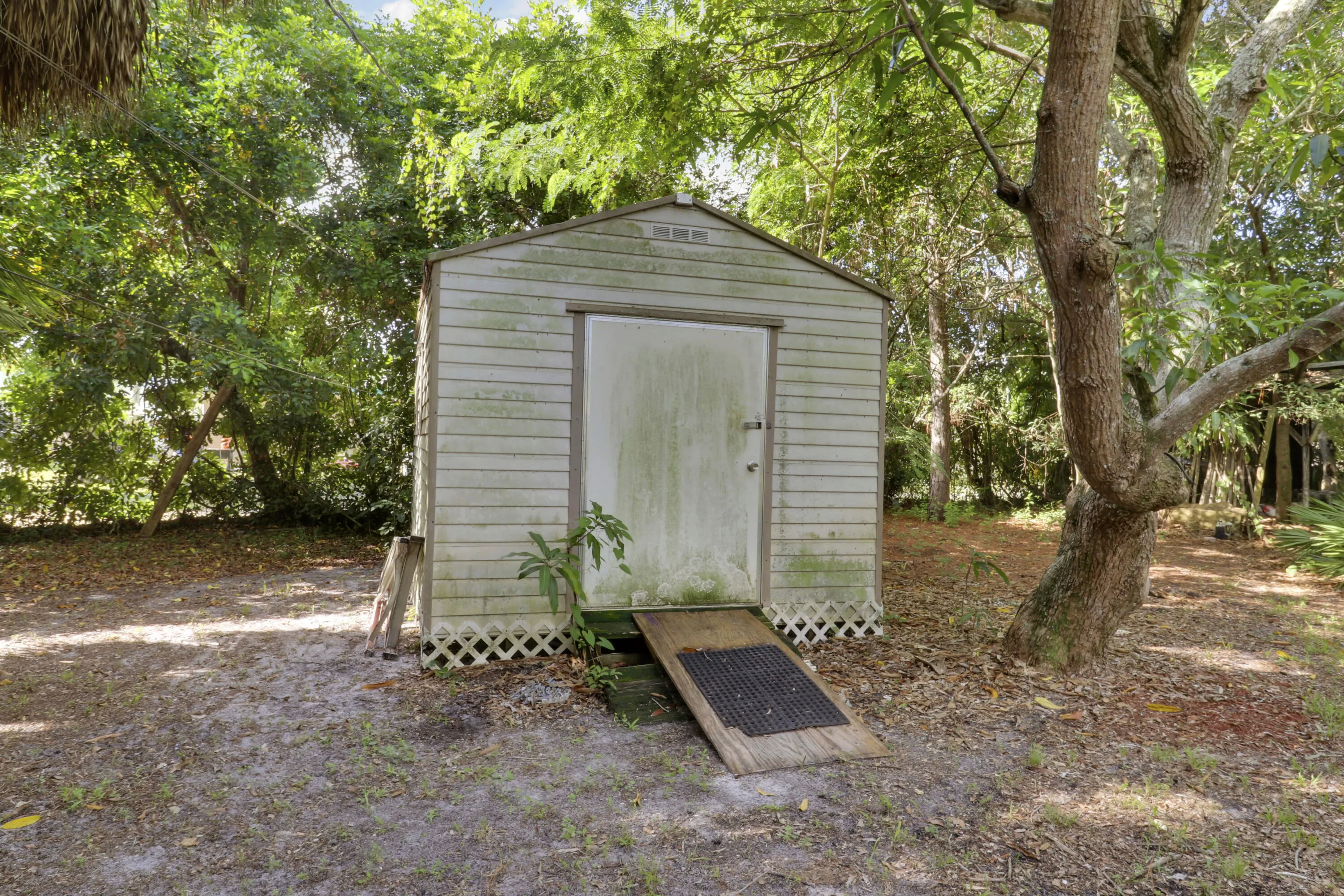 10 X 14 shed