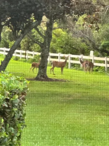 View of deers seen daily outside of property. Also seen are rabbits and other wildlife