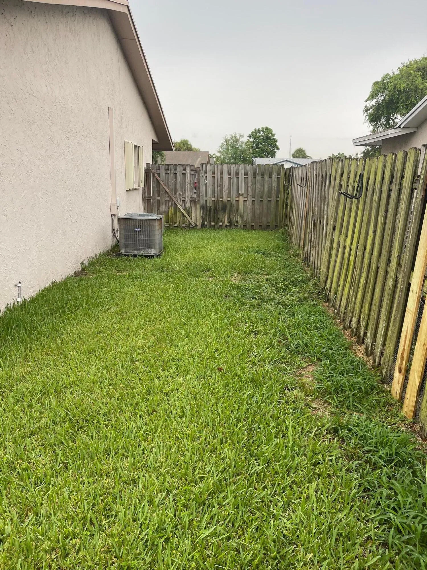 SIDE YARD