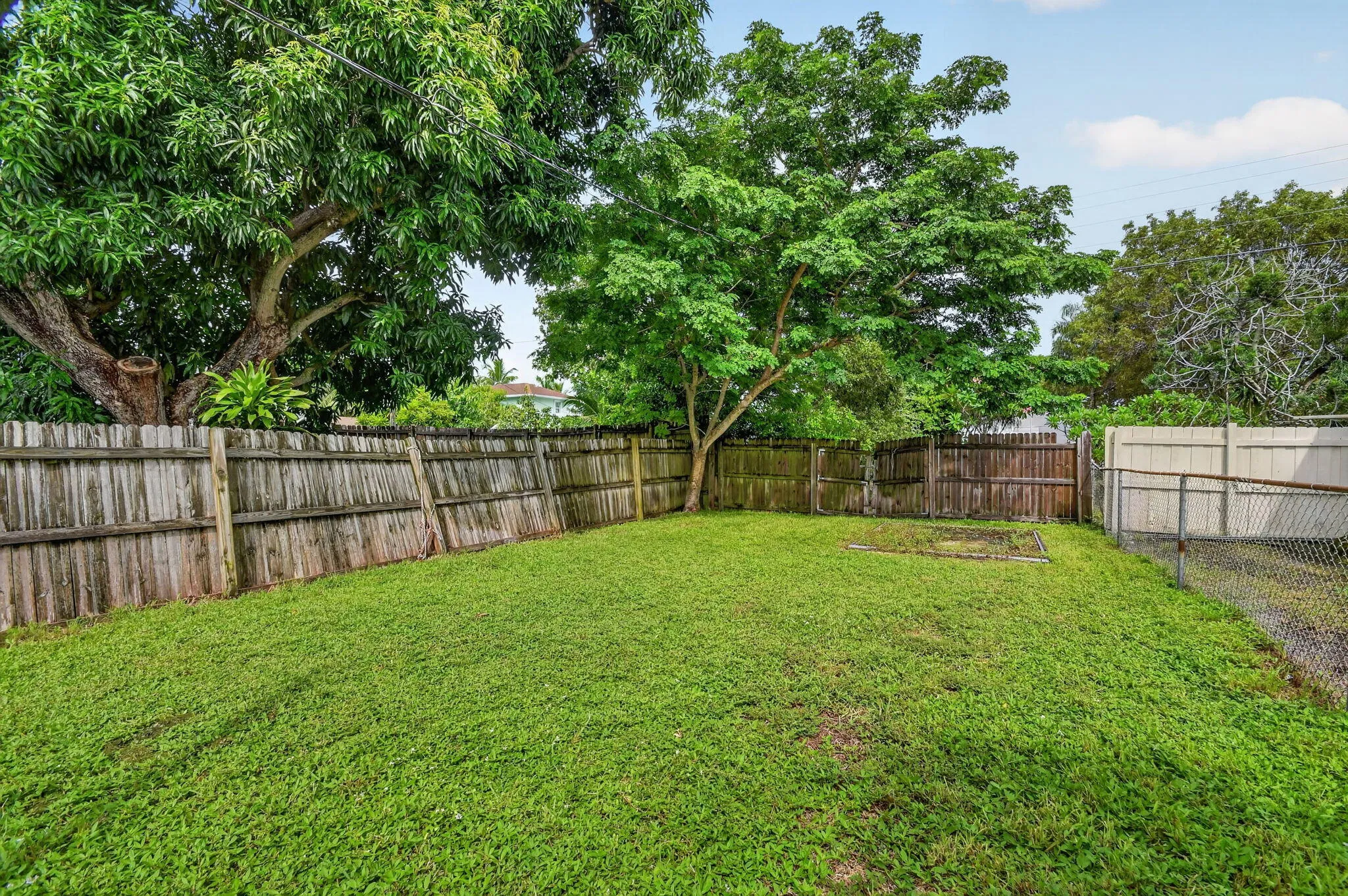 39-web-or-mls-DSC_8097