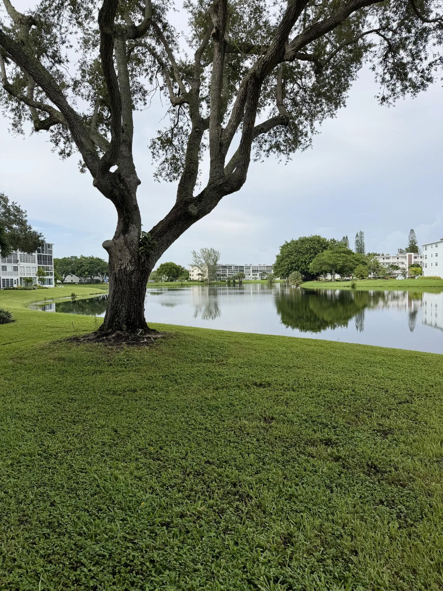 Outside - Common Area by Lake