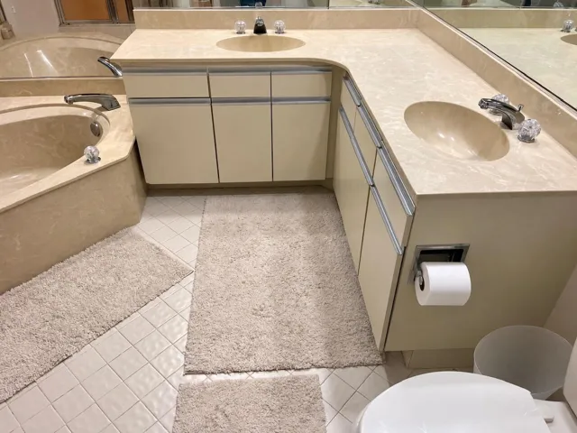 master bath 1