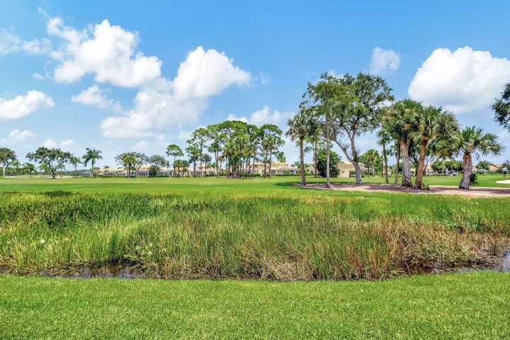 Manicured golf course green with a natural water feature and mature palm trees