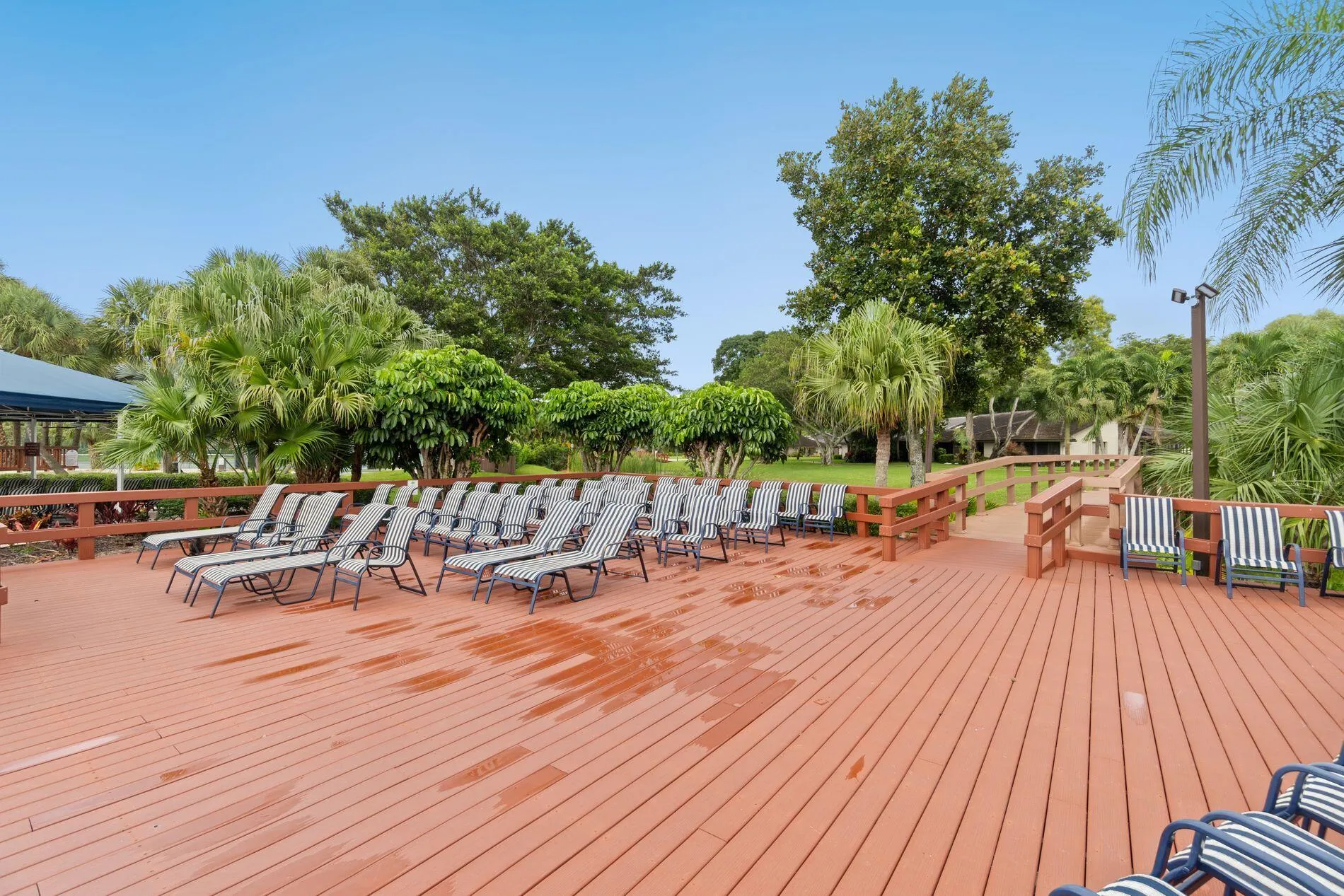 Sun Deck