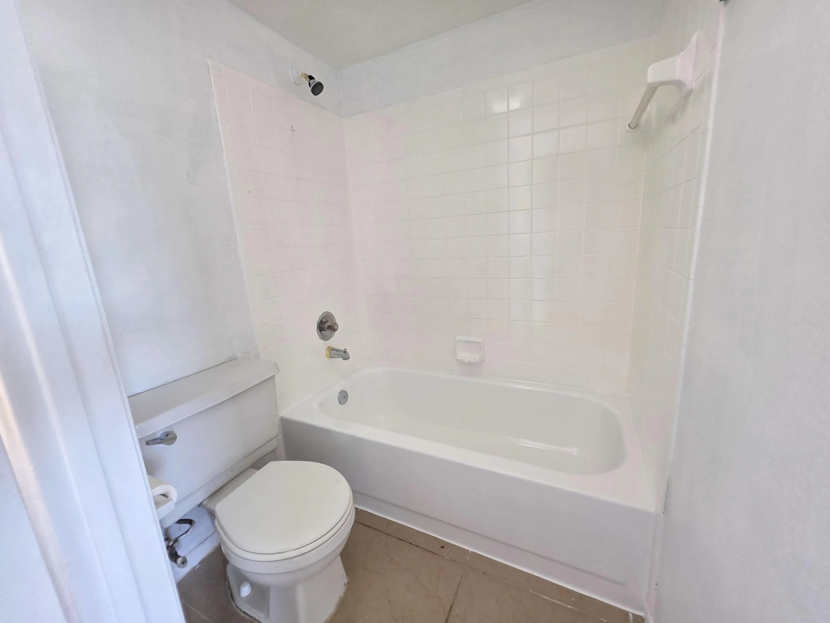 Toilet and tub