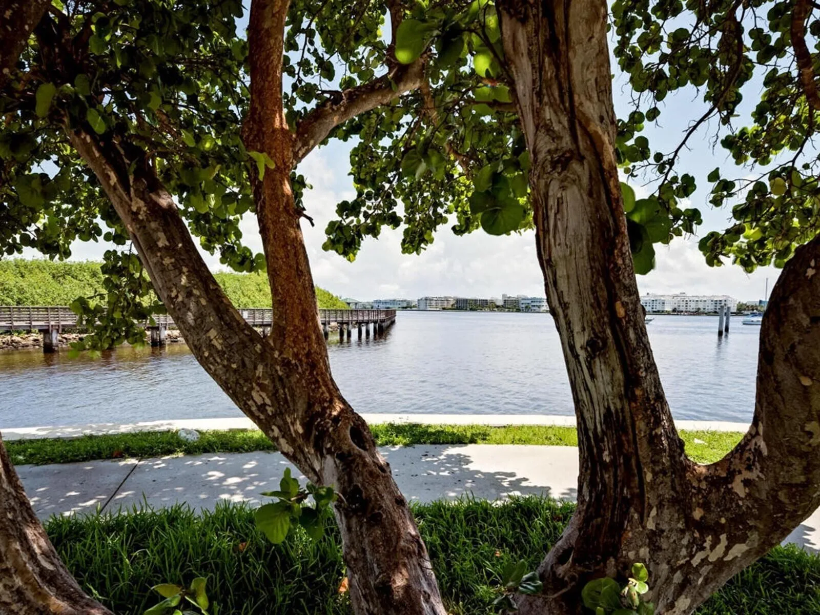 049_069_snook island