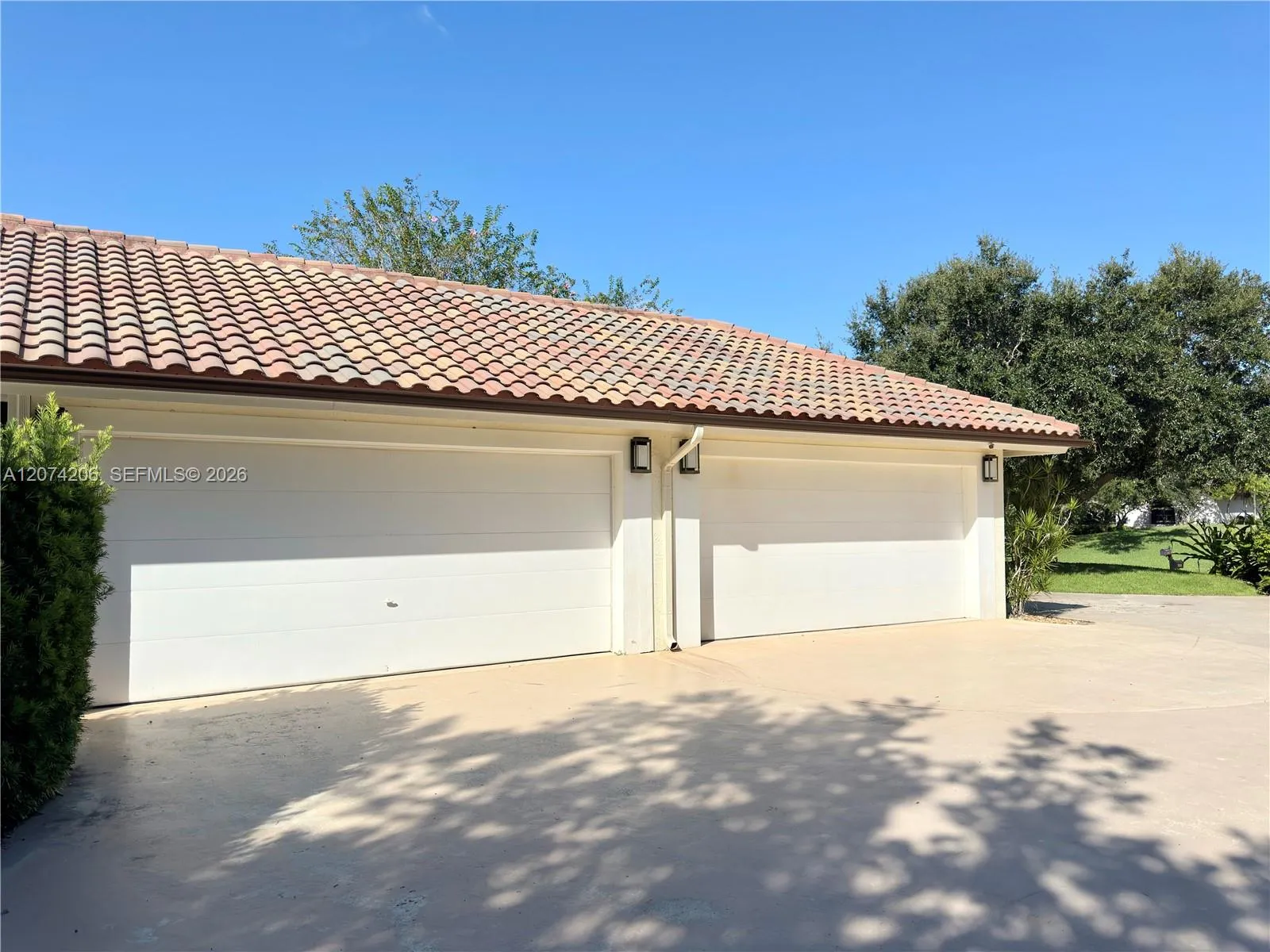 Photo 62