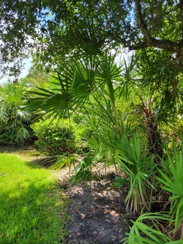 Ample room in the back yard for private conversations just steps away from the screened porch and BBQ Patio.
