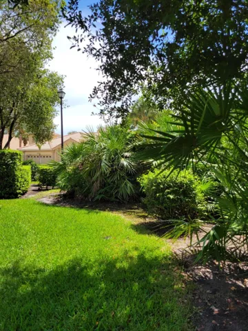 Nice shade trees in back yard as well as natural privacy fence.