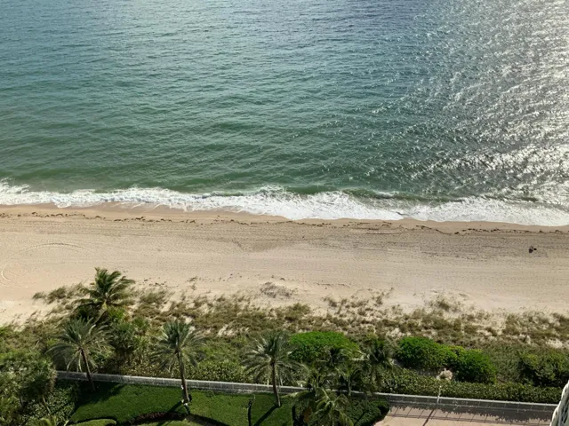 view