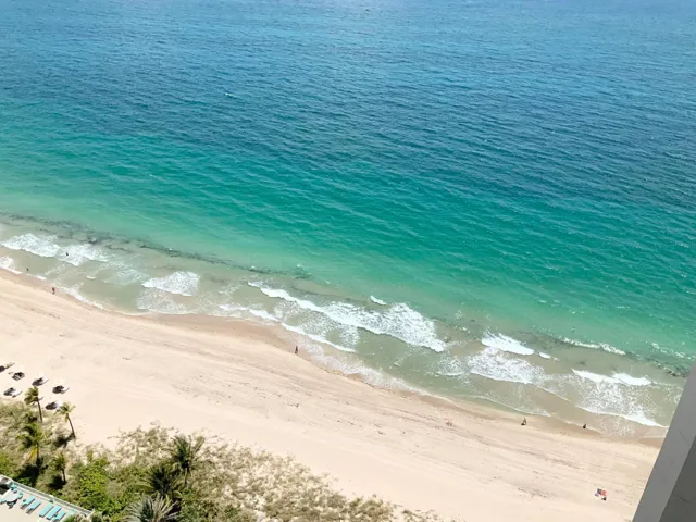 view