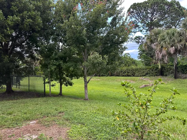 Expansive grassy area featuring mature trees, diverse foliage, and a chain-link fence