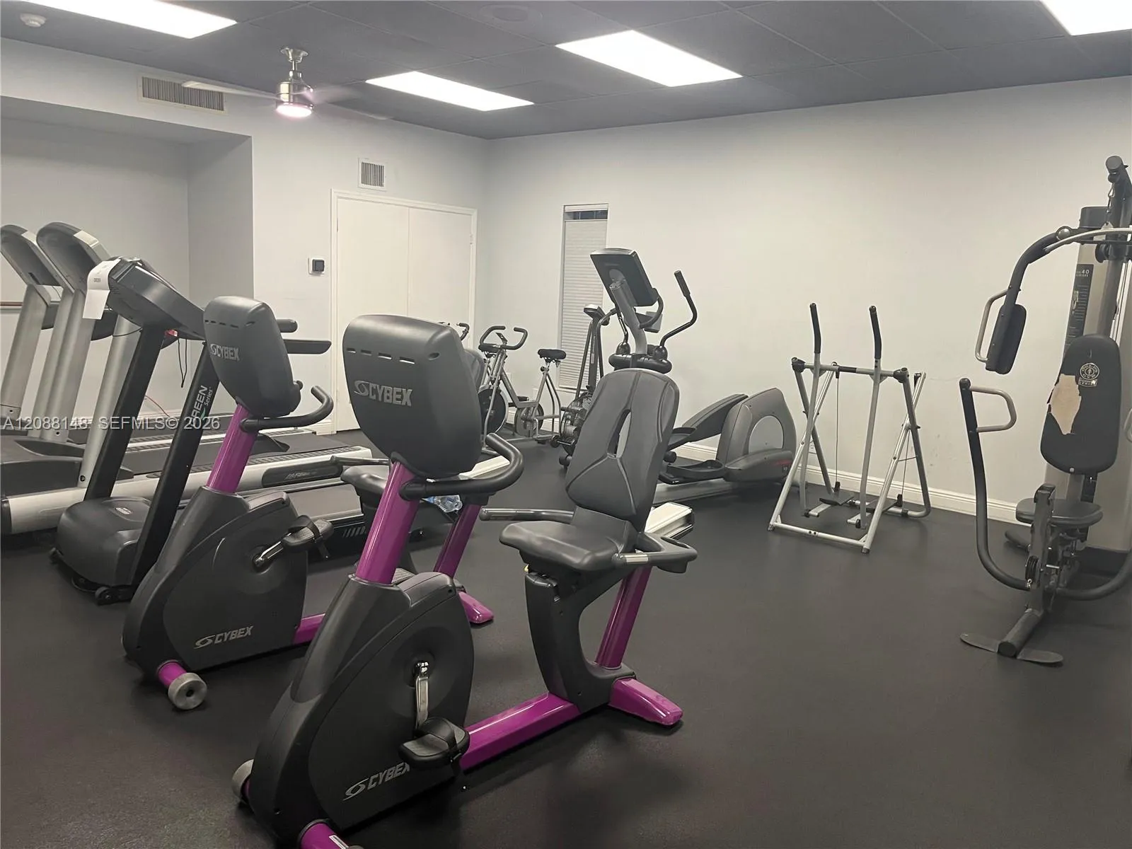 Woman's Gym