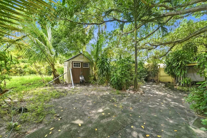 Backyard