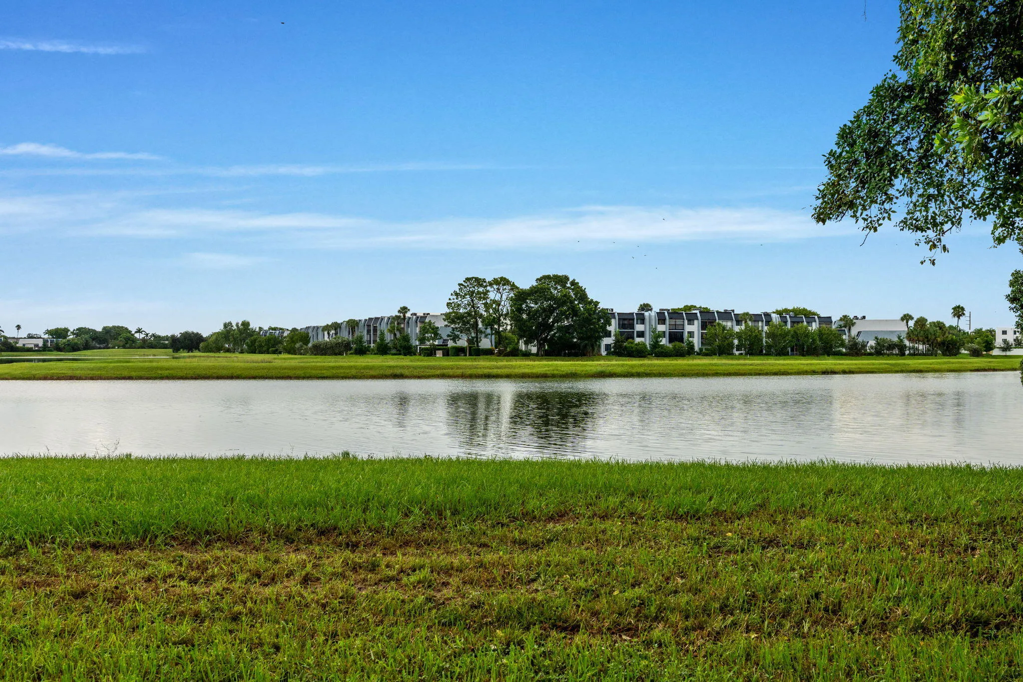 Pond